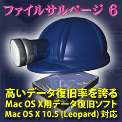 ファイルサルベージ 6