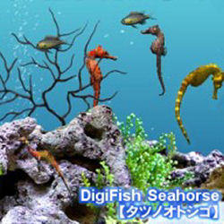 "s[AhG[ DigiFish Seahorse _E[h PAS-15733"