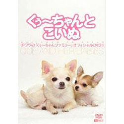 【クリックで詳細表示】くぅ～ちゃんとこいぬ チワワの「くぅ～ちゃんファミリー」 SDA71