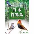 ���{�S�� �f���Ɩ����Ŗ����ޖ쒹�}��
